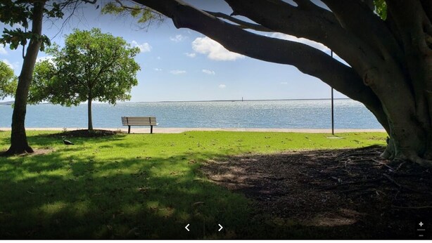 Um parque com um banco, árvores e vista para a água.