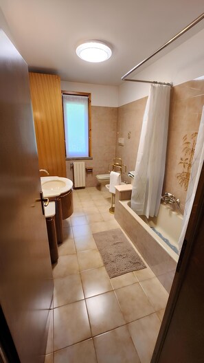 Shower, hair dryer, bidet, towels