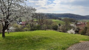A rural landscape with houses, a grassy hill, and a tree with white blossoms.