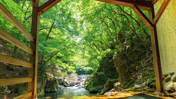 A wooden bridge over a clear stream surrounded by lush greenery. - Tabist Shiobaraonsen Kashiwaya Ryokan (Nasushiobara)