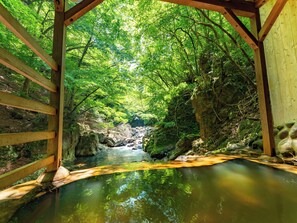 A wooden bridge over a clear stream surrounded by lush greenery. - Tabist Shiobaraonsen Kashiwaya Ryokan (Nasushiobara)