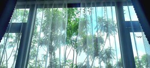 A window with sheer curtains, allowing a view of tall trees outside. - Vuong Tran Diamon (Lam Vien - Da Lat)