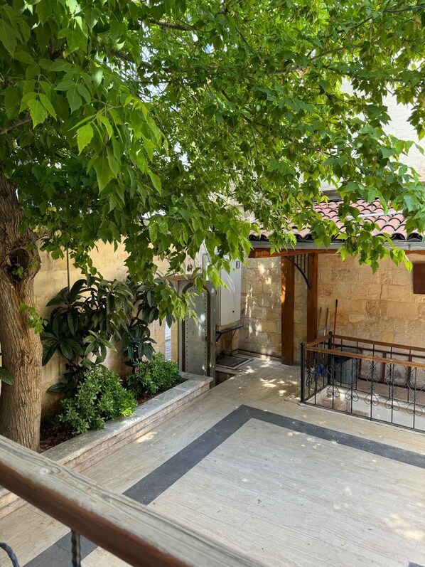 Jardin