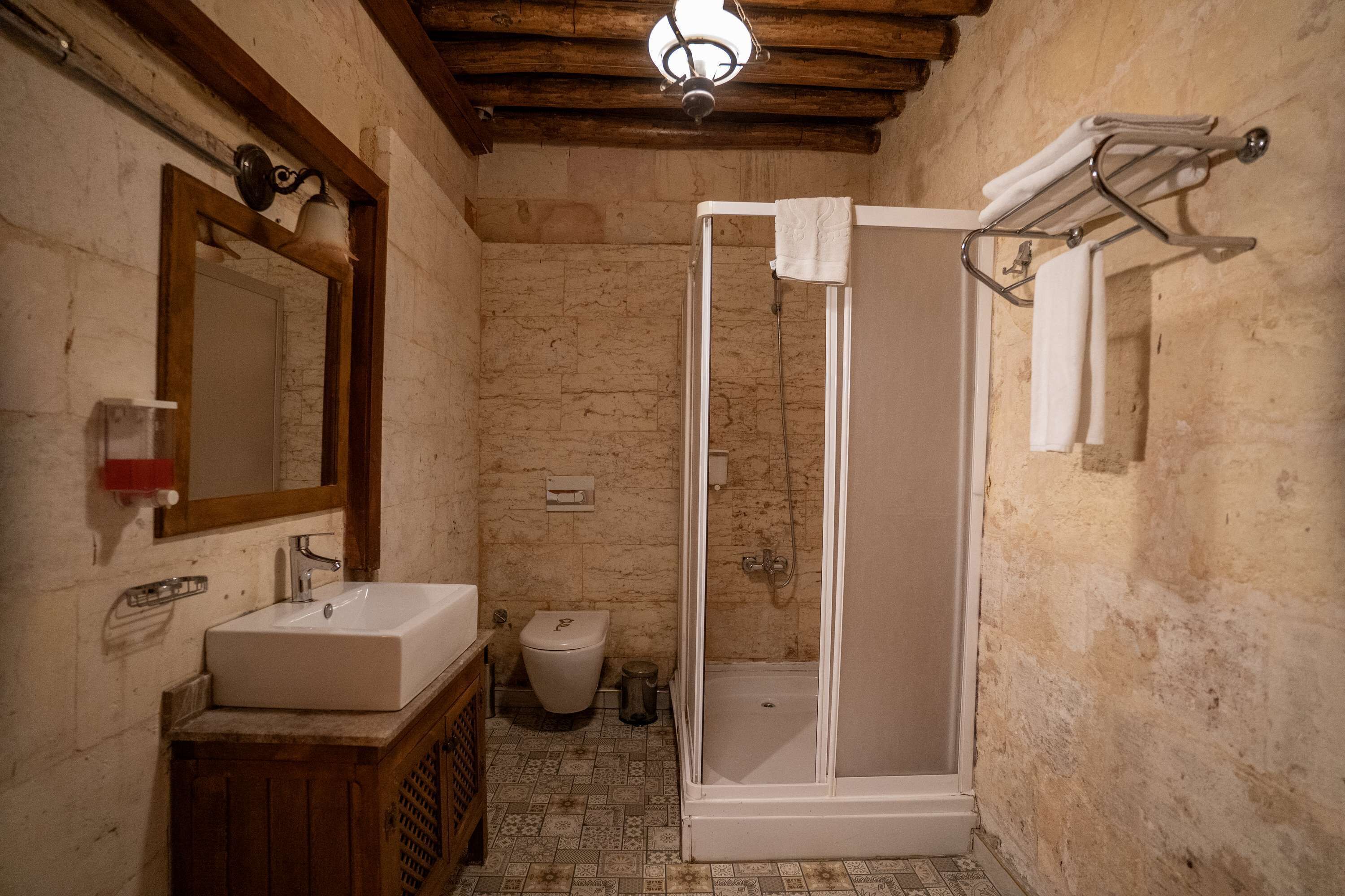 Baño con lavamanos, inodoro y ducha.