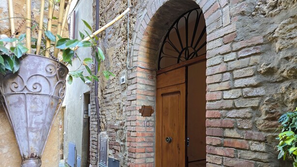A narrow alleyway with a brick wall, a wooden door, and a metal gate.