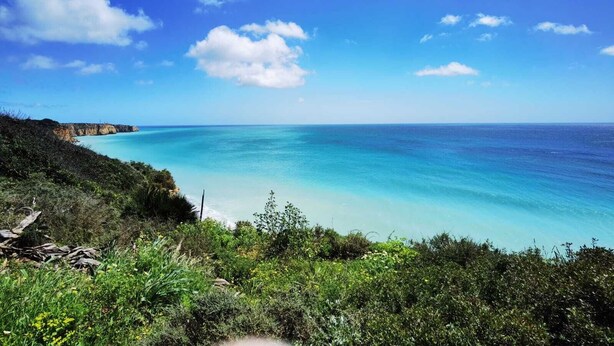 Un paysage côtier offrant une vue dégagée sur l’océan et une falaise.
