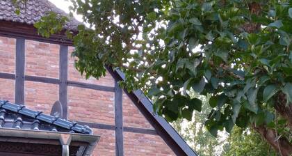 Historisches 5 Gutshaus am Fluss mit Panoramablick und Riesigem GrundstĂŒck