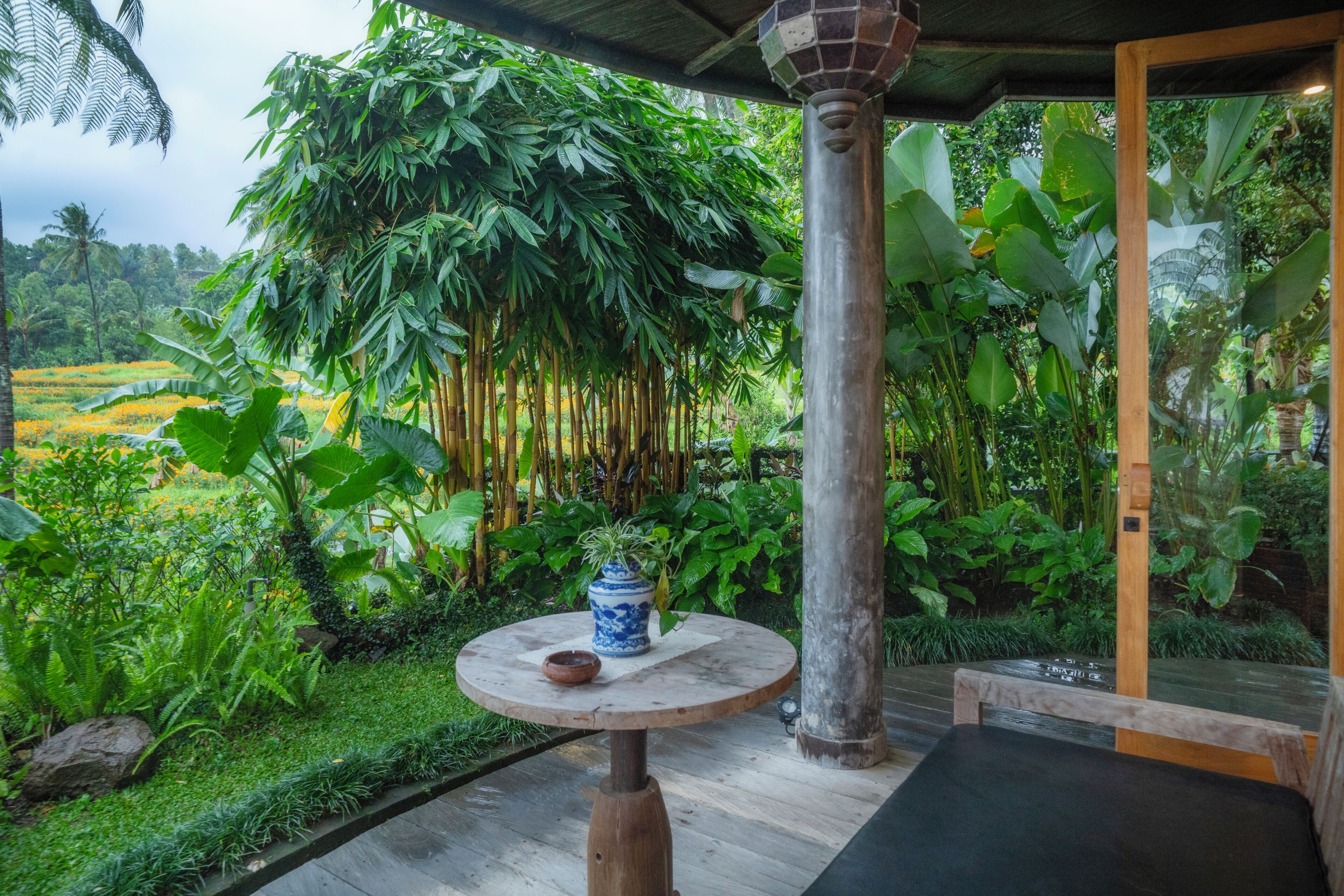 Hamsa Room | View from room