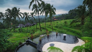 A lush, tropical landscape with a circular water feature, palm trees, and a traditional house in the background. - Villa OMantra Home Bali (Sukasada)