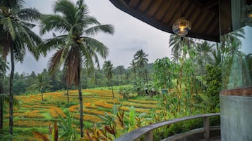Mandala Room | View from room