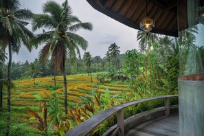 View from room - Villa OMantra Home Bali (Sukasada)