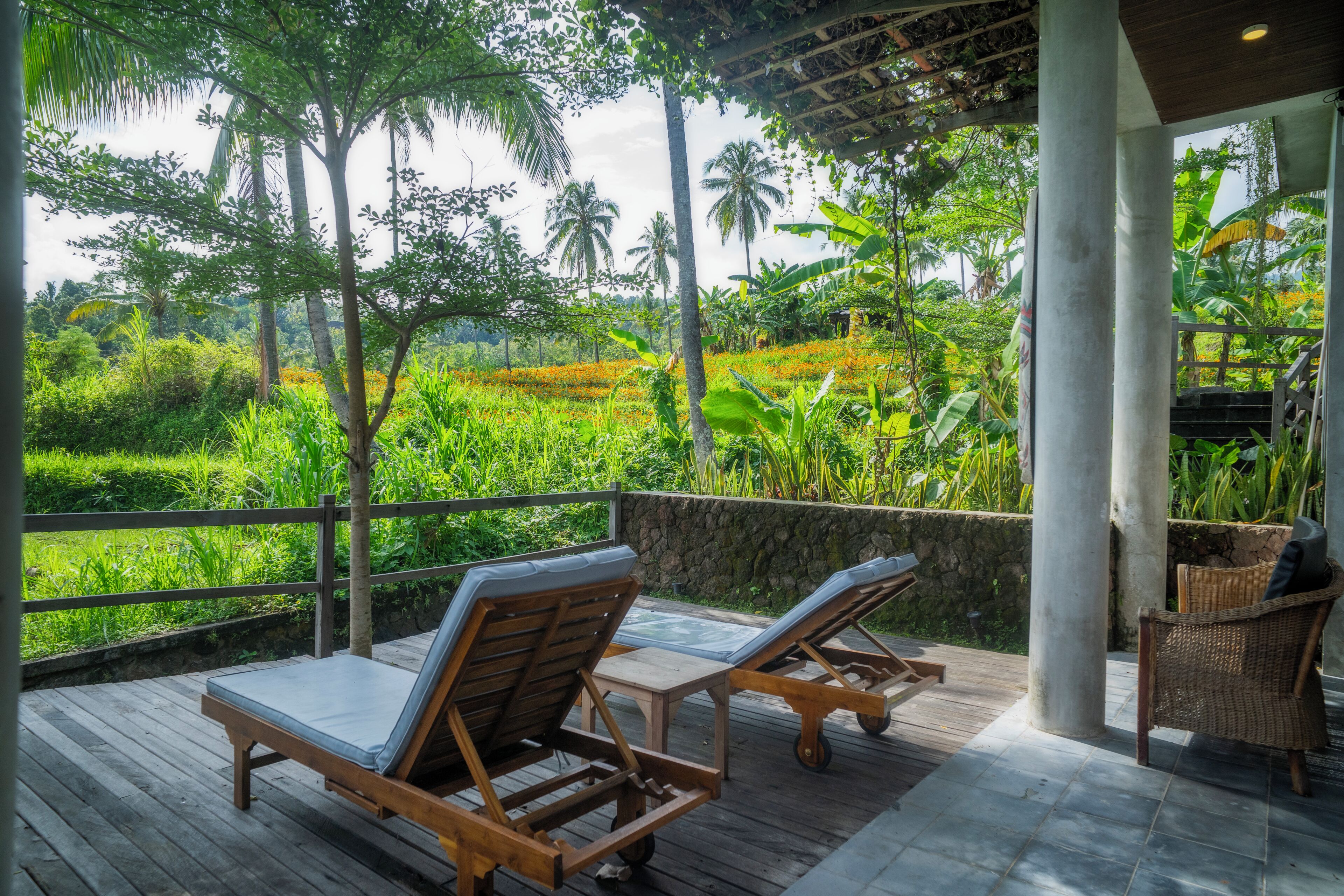 Yin Yang Room | View from room