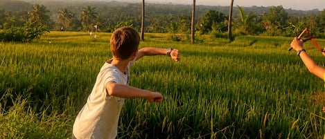 A person in a field with tall palm trees and a clear sky.