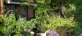 Dollhouse Modern retreat