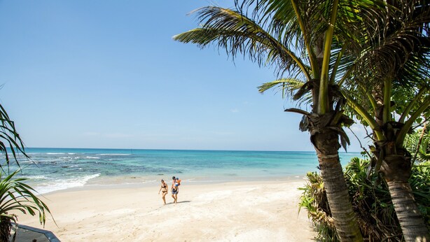 A beach with clear blue water, palm trees, and a sandy shore. - South Point Ocean - Whole Villa 8 Bedroom (Sleep 16) (Koggala)