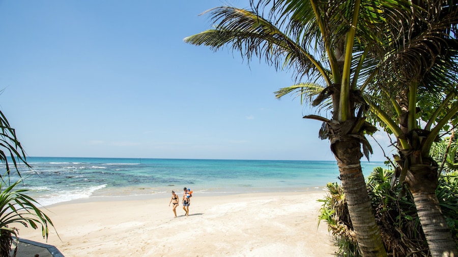 South Point Ocean - Whole Villa 8 Bedroom (Sleep 16)