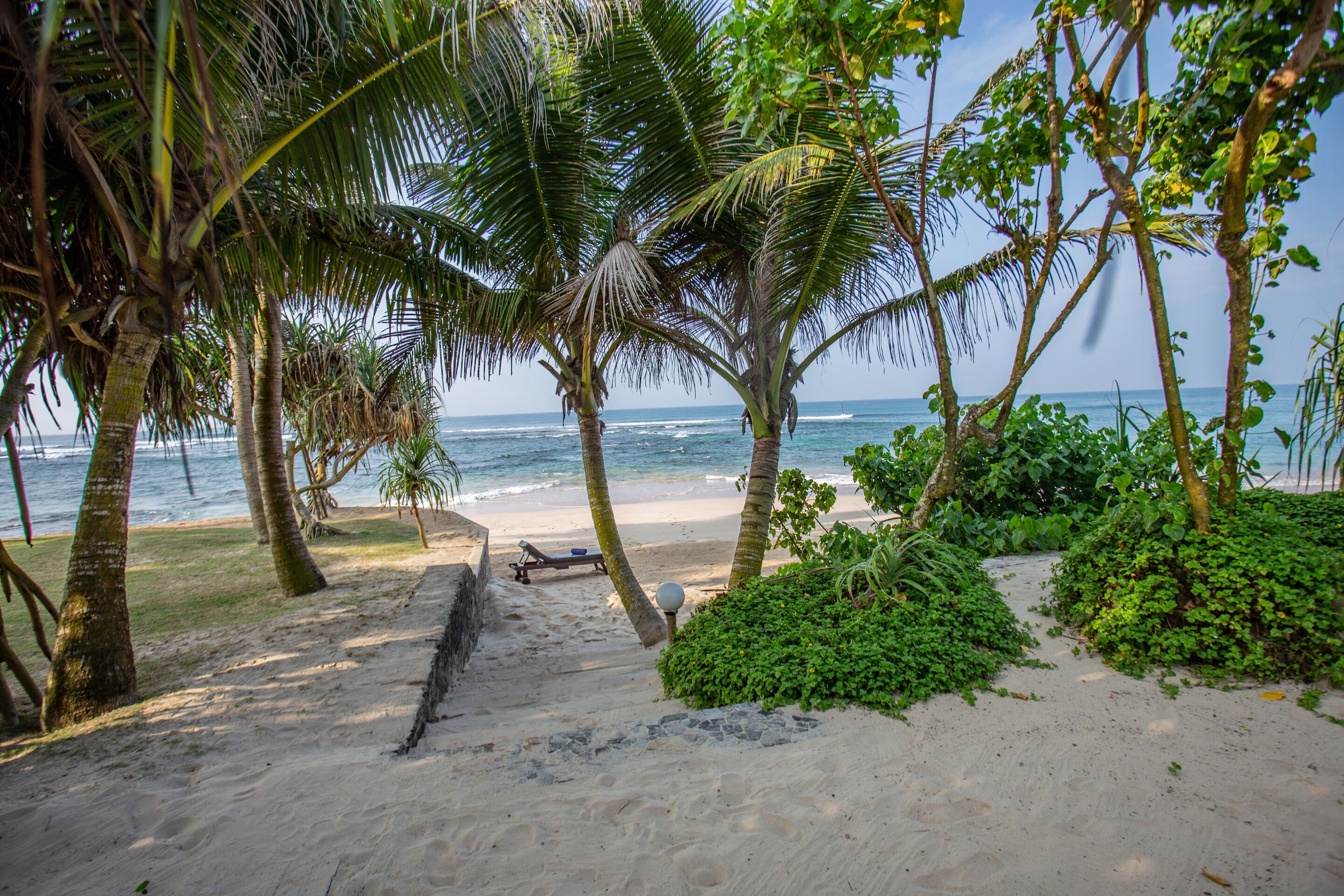 Una playa arenosa con palmeras y una vista despejada del océano.