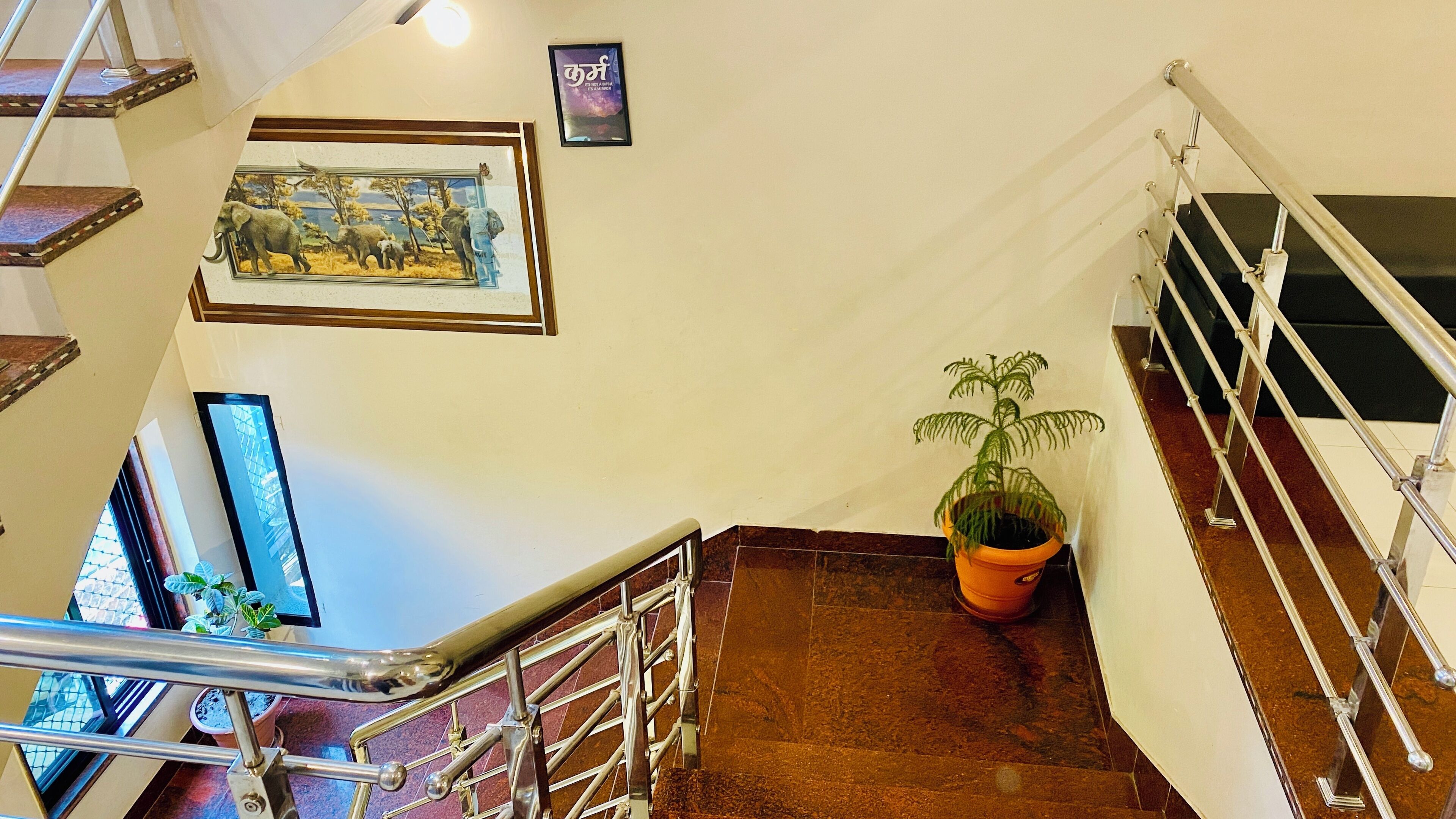 A staircase with a metal railing, a framed picture on the wall, and a potted plant on the floor.