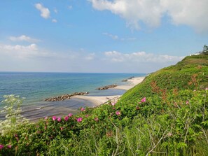 Beach - Lovely summer house with SPA, close to the beach. (Vejby)