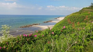 A coastal landscape with a beach, rocky shoreline, and lush greenery.