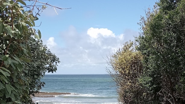 A pathway leading to a beach with a clear view of the ocean.