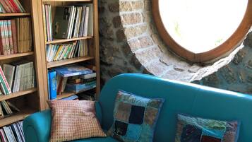 Télévision, lecteur de DVD, livres