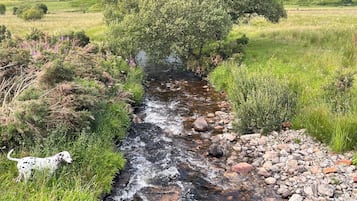 Standard Double Room, Balcony, Hill View | Hypo-allergenic bedding, desk, laptop workspace