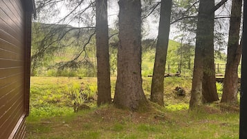 Land view from property