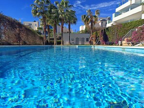 En swimmingpool med klart, blåt vand, omgivet af palmer og moderne bygninger.