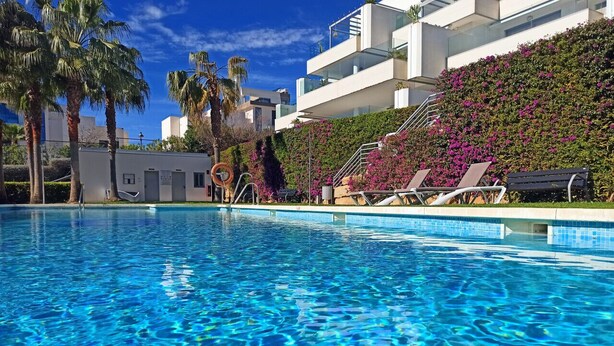 Una piscina con agua cristalina azul, rodeada de palmeras y un edificio de fachada blanca con un balcón.