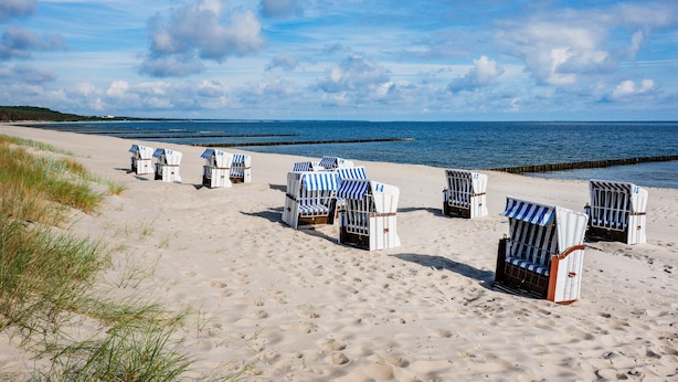 A beach with rows of numbered beach chairs and a wooden walkway.