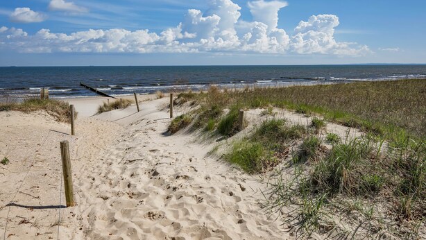 Un sentier de sable qui longe la plage et mène à l’océan, avec une clôture en bois et des dunes herbeuses.