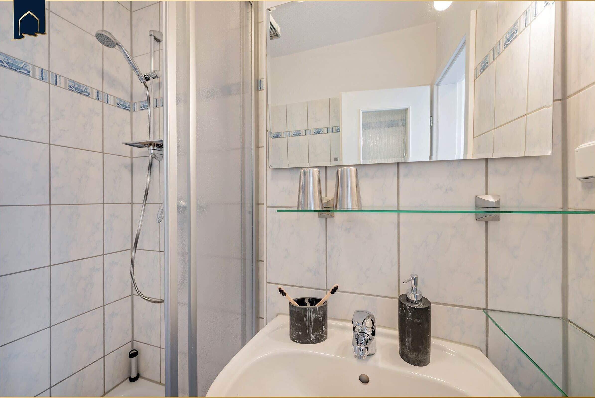 Shower, hair dryer