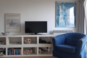 TV connectée, lecteur de DVD, livres