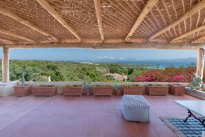 テラス / パティオ