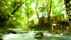 A serene riverside setting with a wooden building partially obscured by lush greenery. - MIZUMARI (Kawazu)