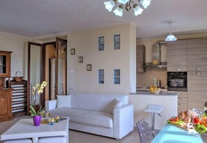 Fireplace, DVD player, ping pong