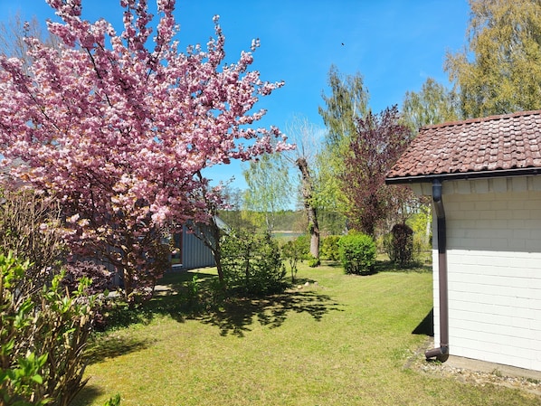 A residential property with a well-maintained lawn, a small shed, and a variety of flowering trees.
