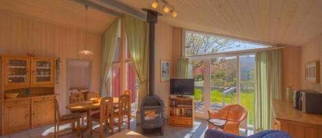 Televisión y chimenea