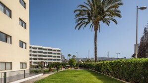 A well-maintained outdoor area with a palm tree, a pathway, and a building with multiple windows and balconies. - Apartamento Los Ficus (San Bartolomé de Tirajana)
