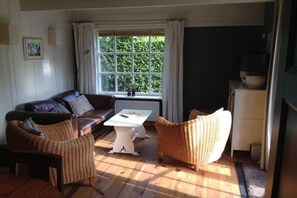 Smart-tv, dvd-afspiller, bøger