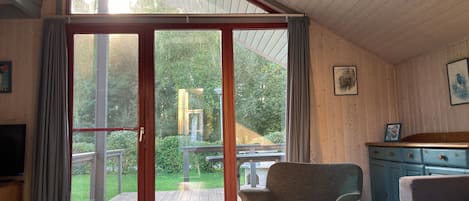 Televisión, chimenea, reproductor de DVD y estéreo