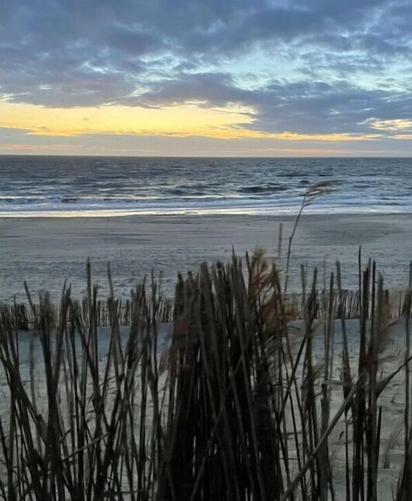 Playa