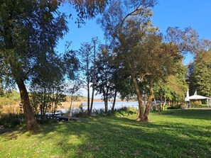 Unclassified image, 5 of 24, button