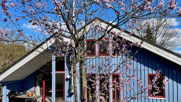A blue building with red-framed windows and a covered patio area with outdoor seating. - Wildgans 113 - Klassisches Skandinavisches Ferienhaus für bis zu 6 Personen (Mirow)