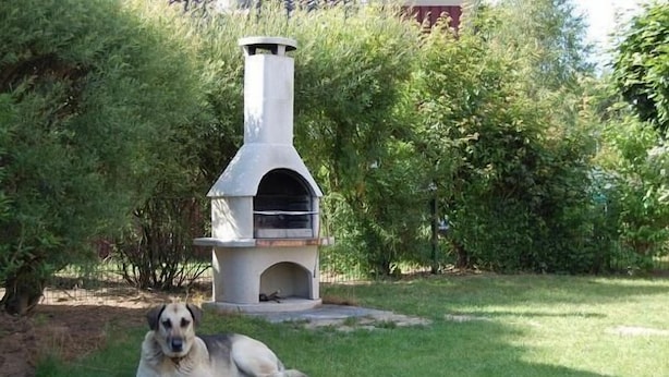 Un four extérieur en pierre, installé dans un jardin, avec un chien qui se repose à proximité.