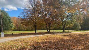 Un parc avec un sentier dallé, des arbres aux feuilles d’automne et une pelouse.