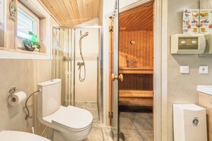 Shower, hair dryer