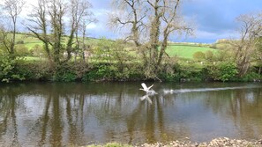 Lake - Viking Sleeping Barrel (Umberleigh)