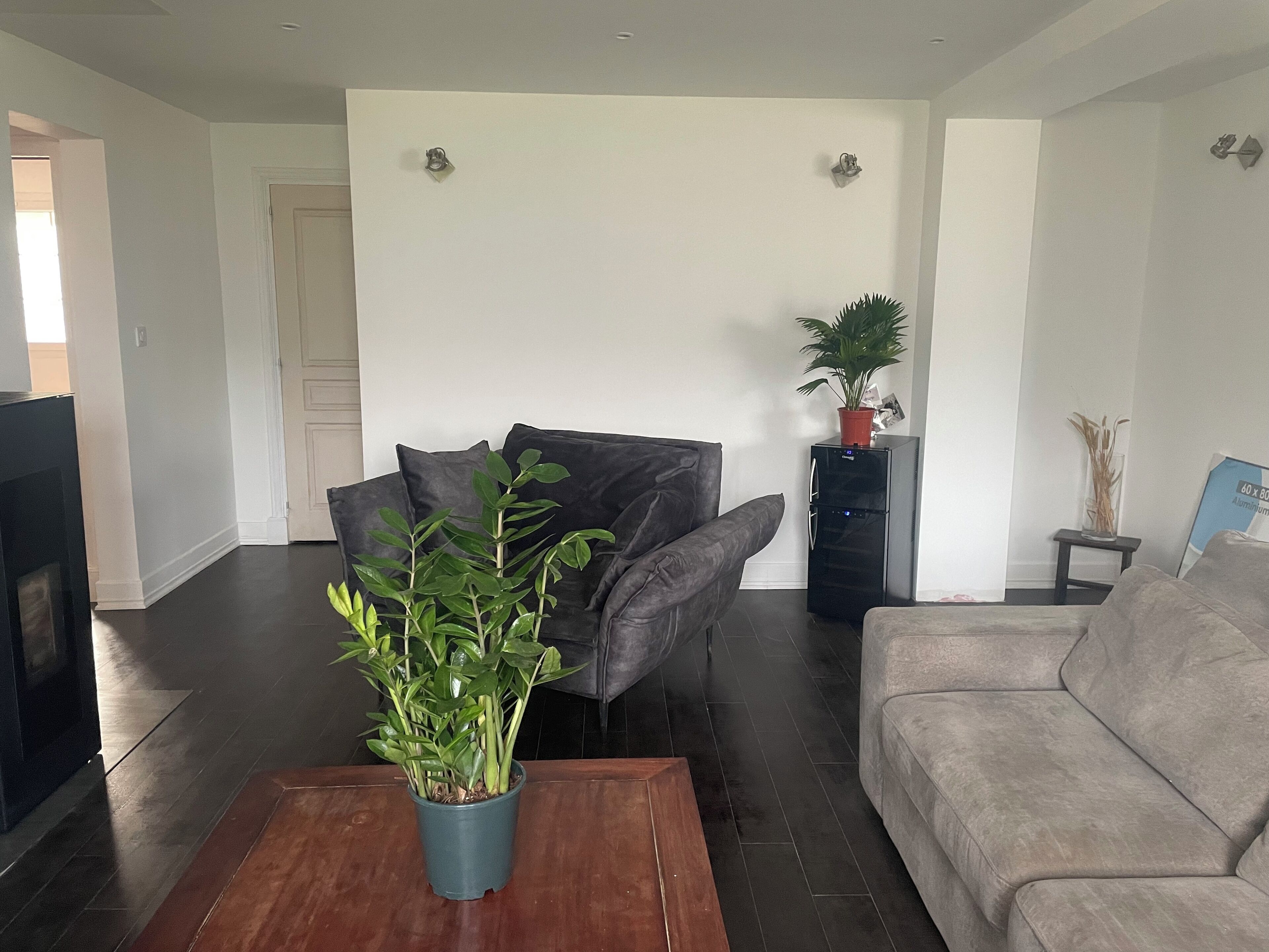 A living room with a dark wooden coffee table, a grey sofa, and a potted plant.